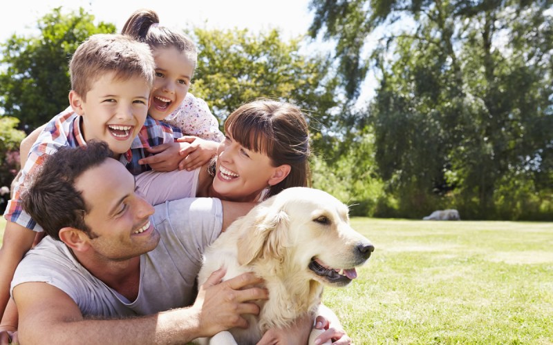 Campingurlaub mit Hund und Familie bei Familie Weissacher in St. Johann im Pongau