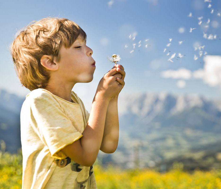 Pusteblume © Mirja Geh Photography