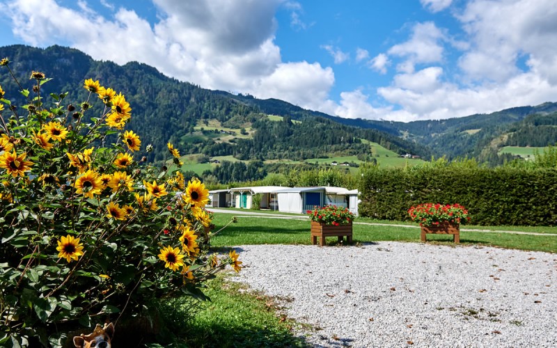 Blumen und viel grüne Wiesen rundherum