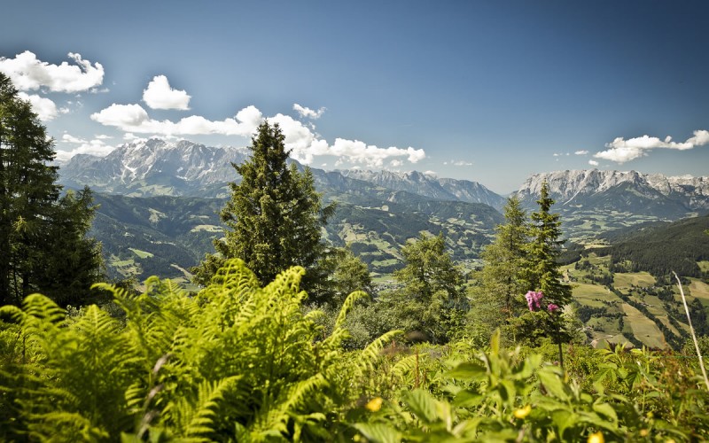 Blick auf Sankt Johann im Sommer