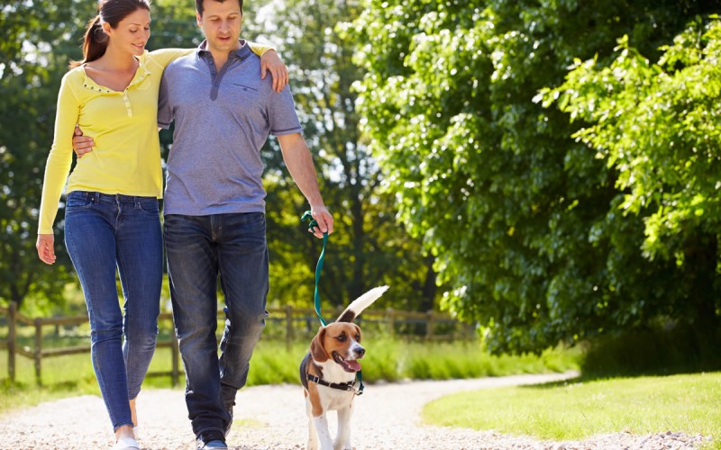 Gassi gehen in St. Johann im Pongau